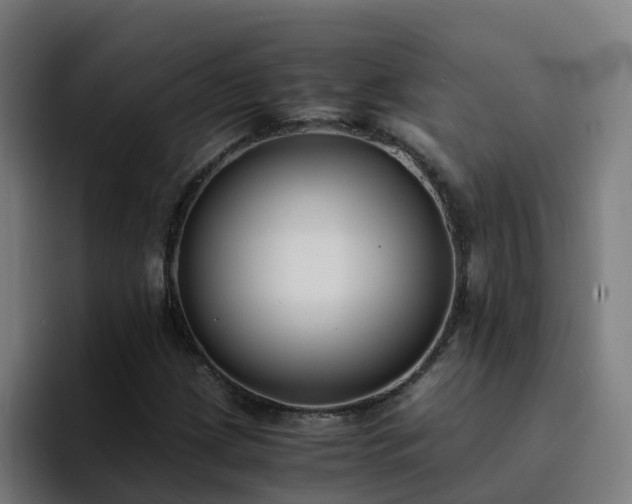X0000094911209200712061042