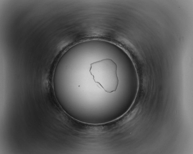 X0000094911210200712061042