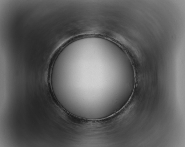 X0000094911216200712061042