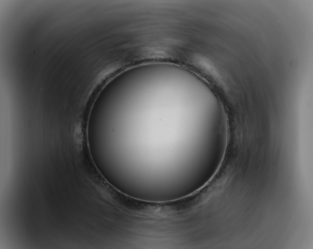 X0000094911218200712061042