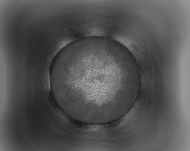 X0000094911219200712061042