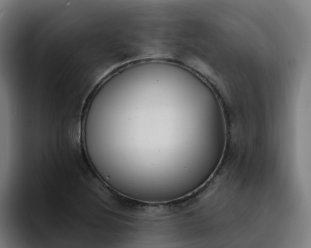 X0000094911220200712061042