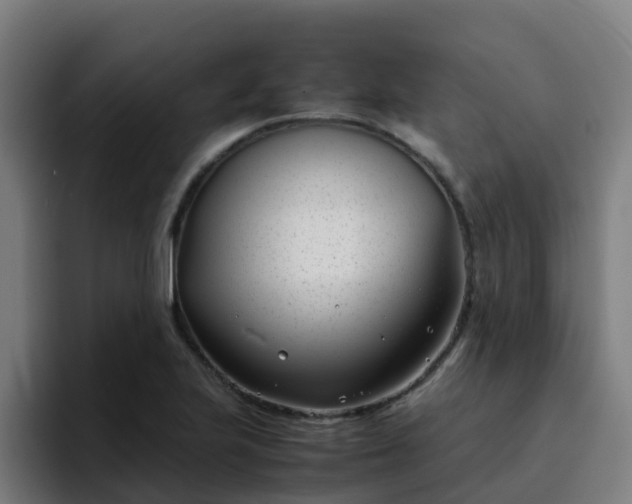 X0000094911223200712061042