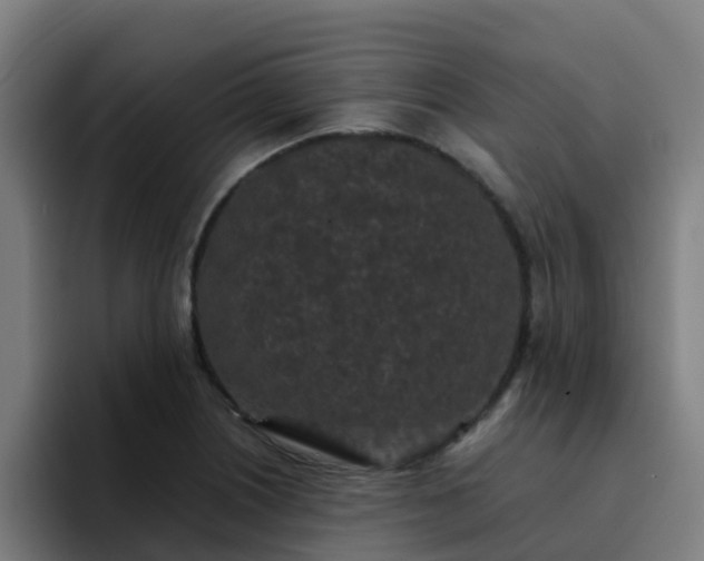X0000094911226200712061042