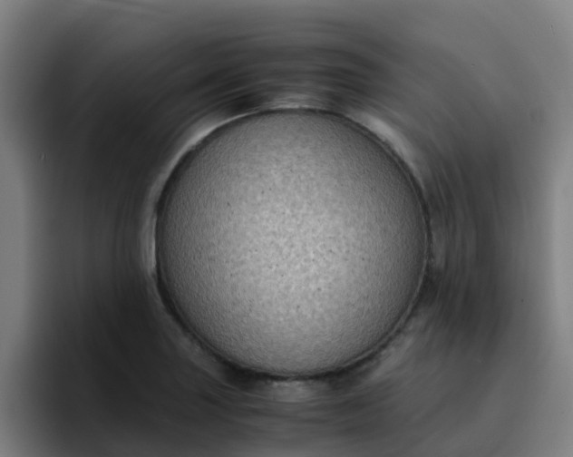 X0000094911227200712061042
