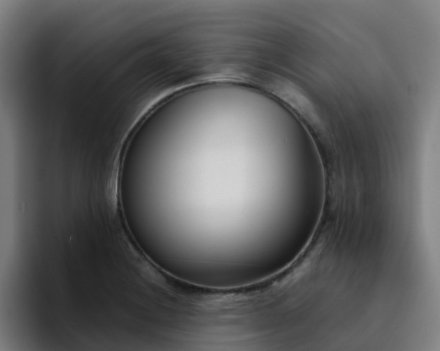X0000094911228200712061042