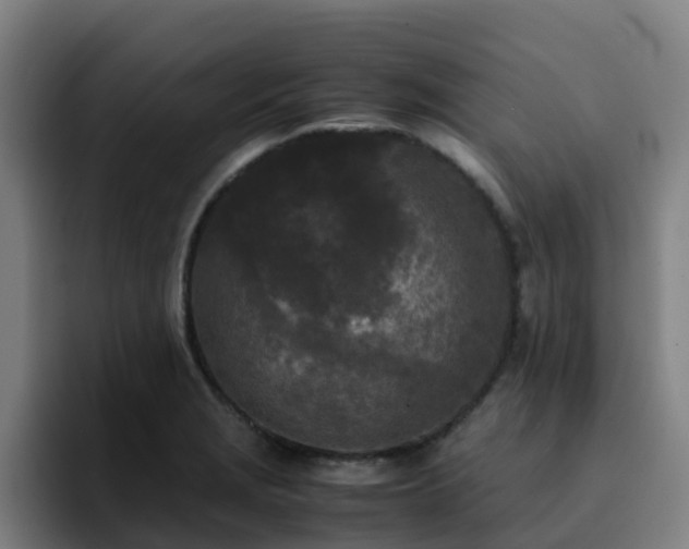 X0000094911229200712061042