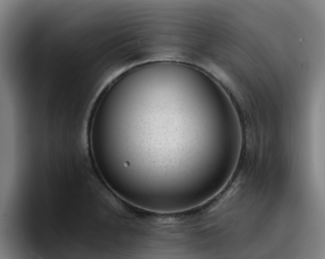 X0000094911230200712061042