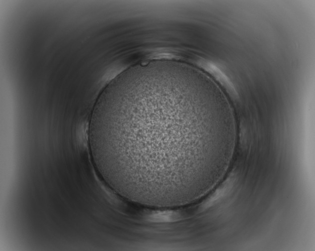 X0000094911233200712061042