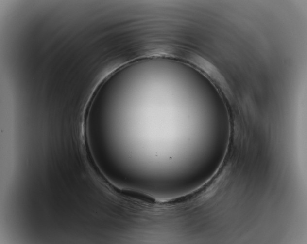 X0000094911234200712061042