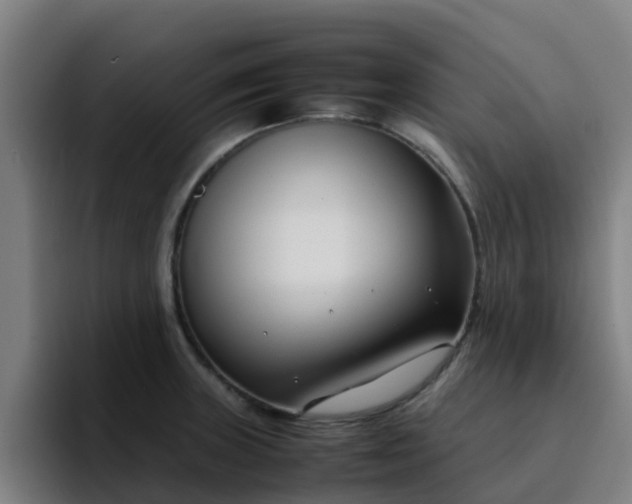 X0000094911235200712061042