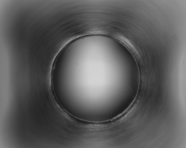 X0000094911236200712061042