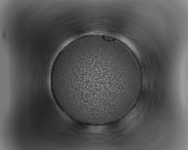 X0000094911237200712061042