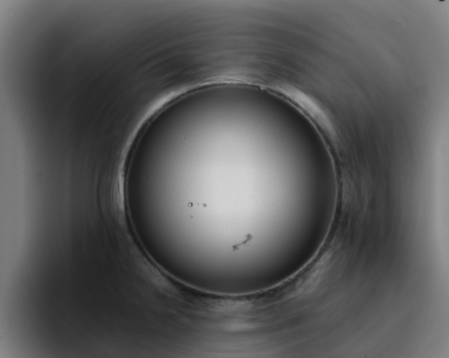 X0000094911238200712061042