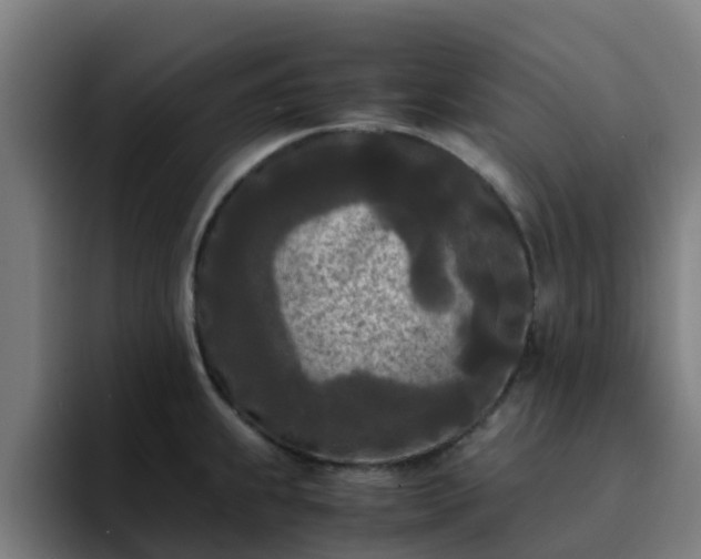 X0000094911239200712061042