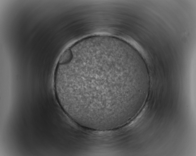 X0000094911240200712061042