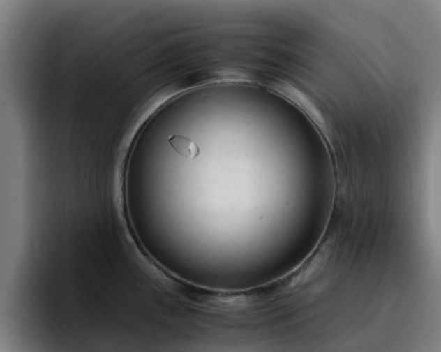 X0000094911243200712061042
