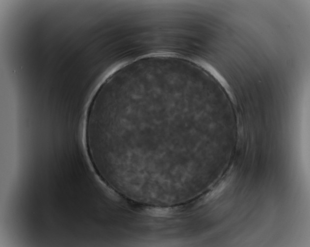 X0000094911245200712061042