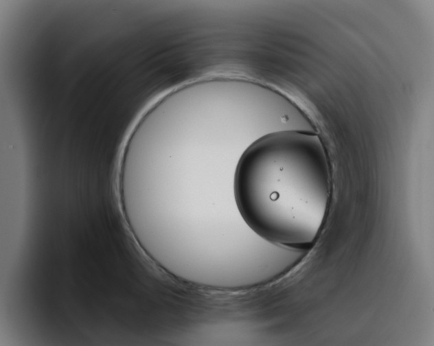 X0000094911248200712061042