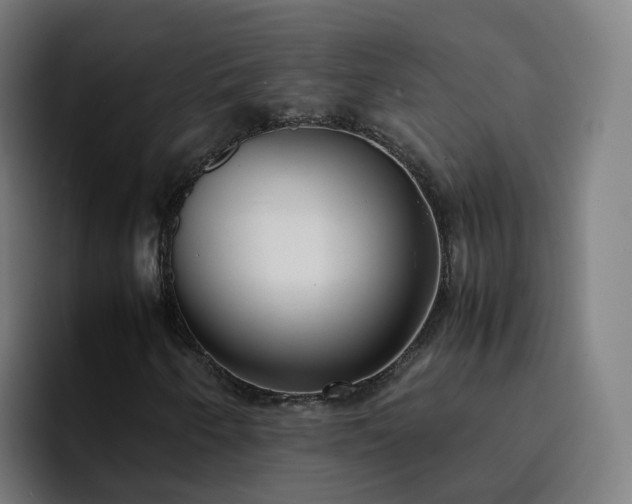 X0000094911250200712061042