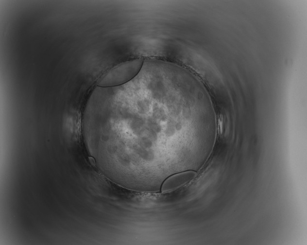 X0000094911251200712061042