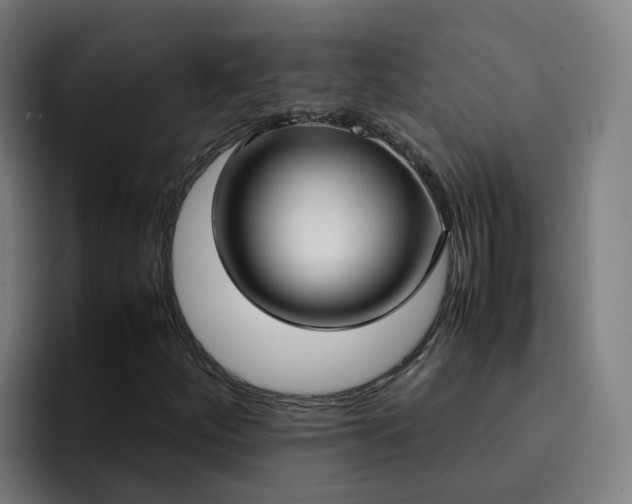 X0000094911252200712061042