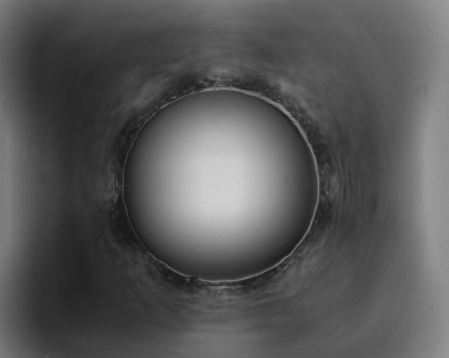 X0000094911253200712061042