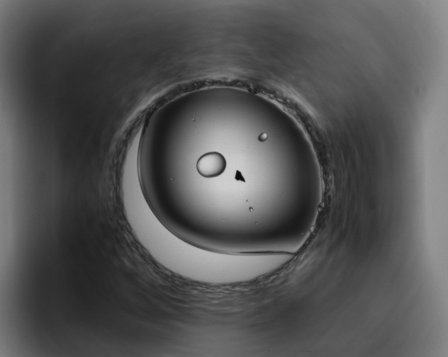 X0000094911256200712061042