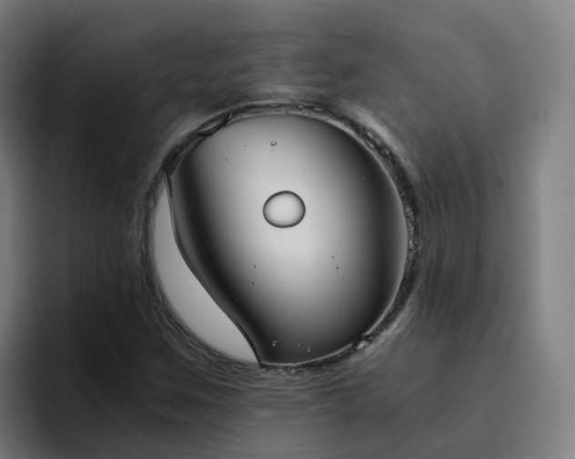X0000094911259200712061042