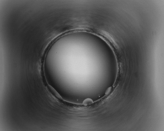 X0000094911260200712061042