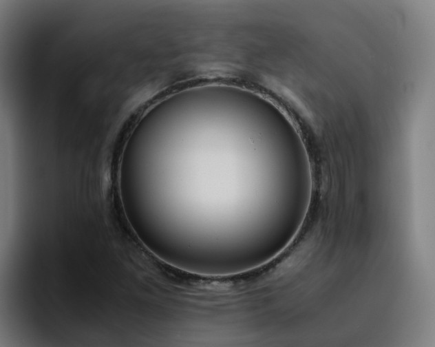 X0000094911261200712061041