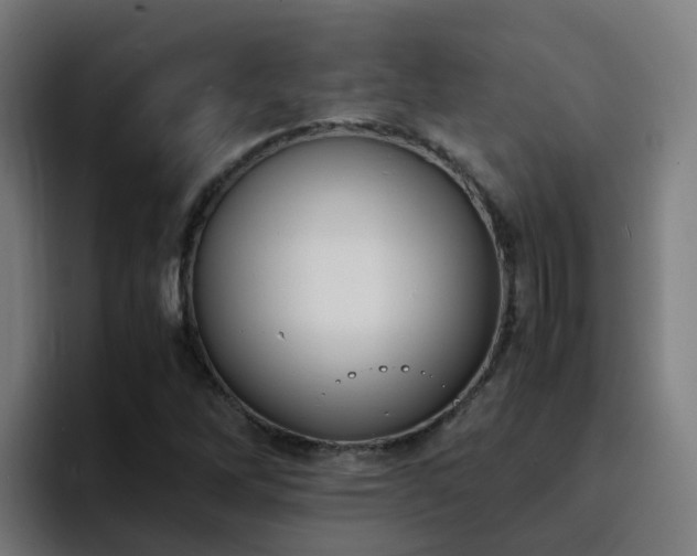 X0000094911262200712061041