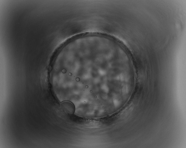 X0000094911263200712061041