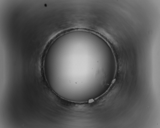 X0000094911264200712061041