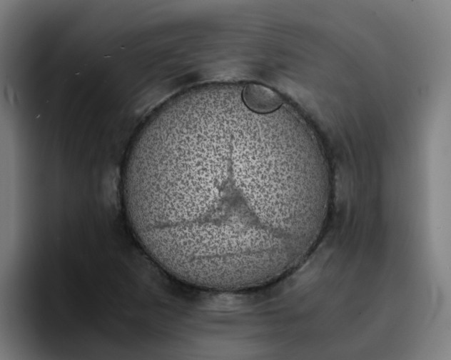 X0000094911265200712061041