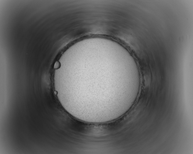 X0000094911266200712061041