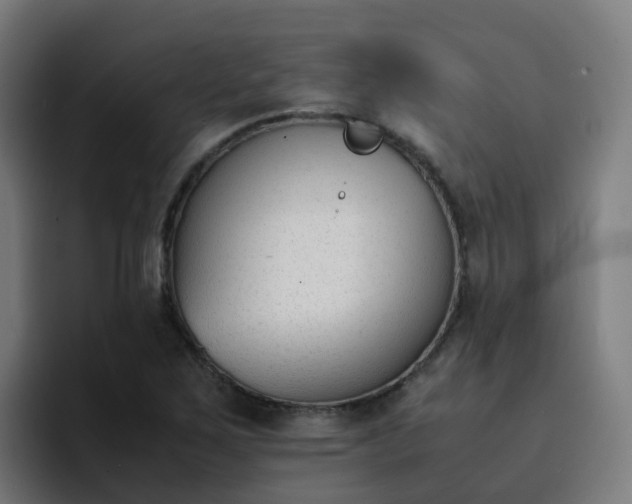 X0000094911267200712061041
