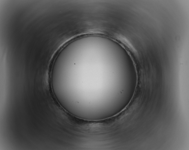 X0000094911268200712061041