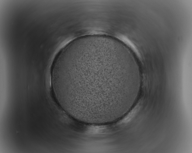 X0000094911269200712061041