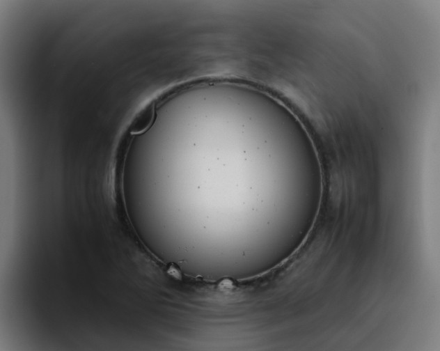 X0000094911270200712061041