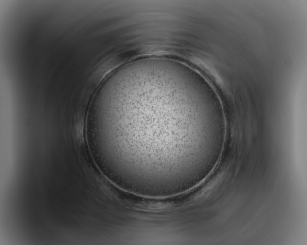 X0000094911273200712061041