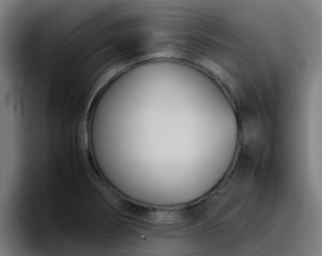 X0000094911274200712061041