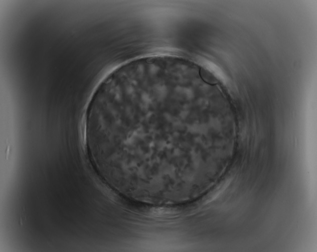 X0000094911275200712061041