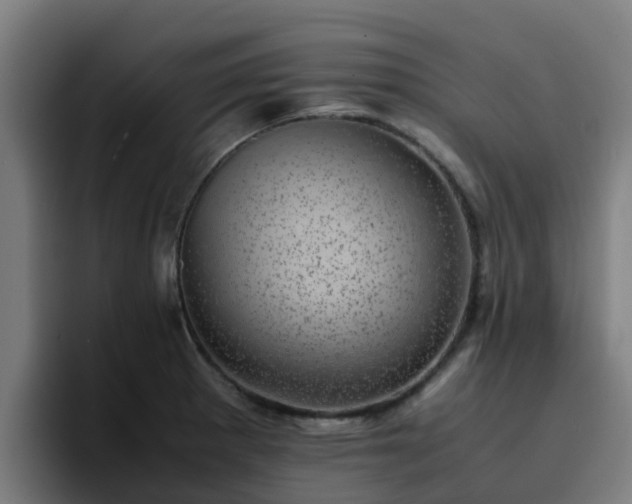 X0000094911281200712061041