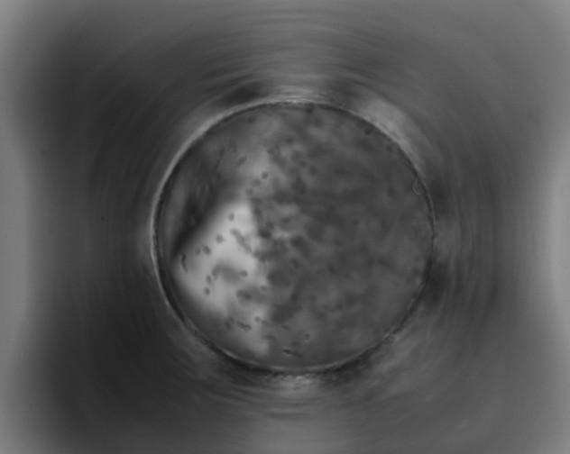 X0000094911283200712061041