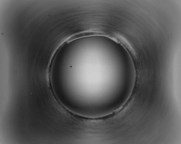 X0000094911284200712061041