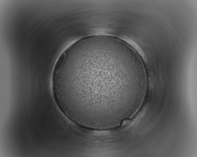 X0000094911285200712061041