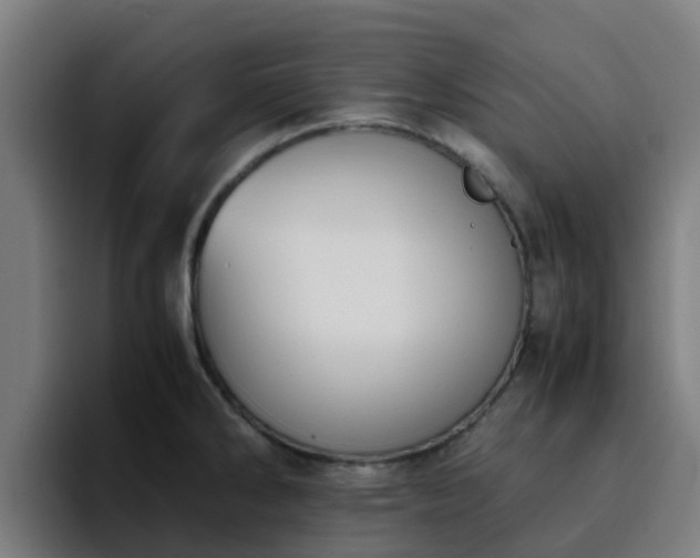 X0000094911286200712061041