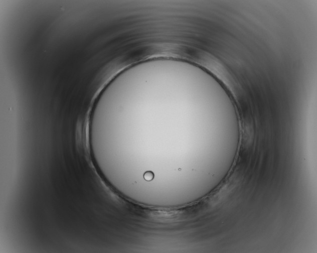 X0000094911290200712061041