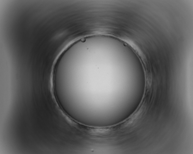 X0000094911294200712061041